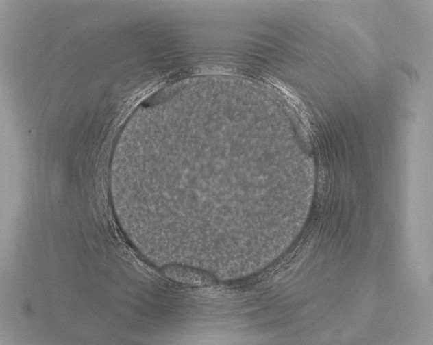 X0000115300385200912141121