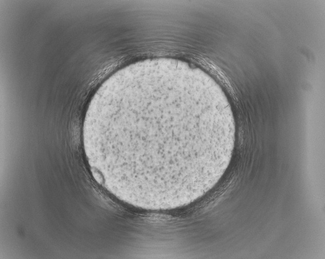 X0000115300393200912141121