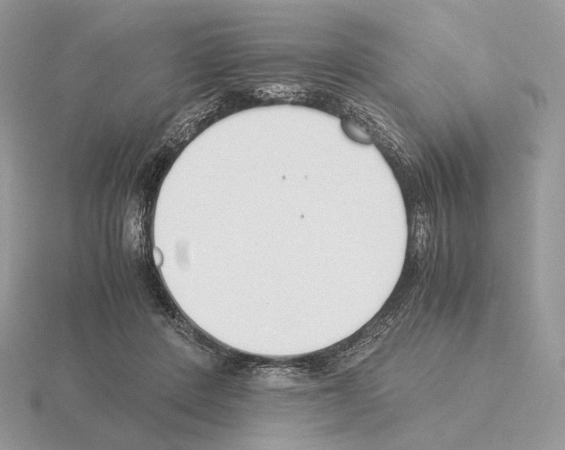 X0000115300408200912141120