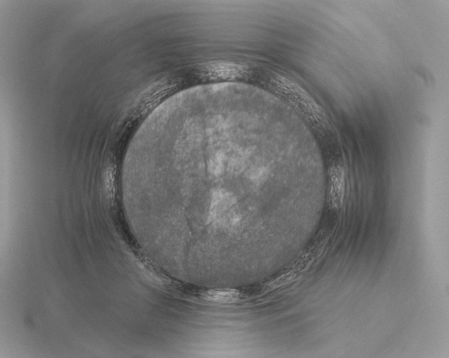 X0000115300410200912141120