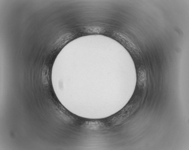 X0000115300414200912141120