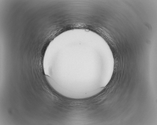 X0000115300415200912141120
