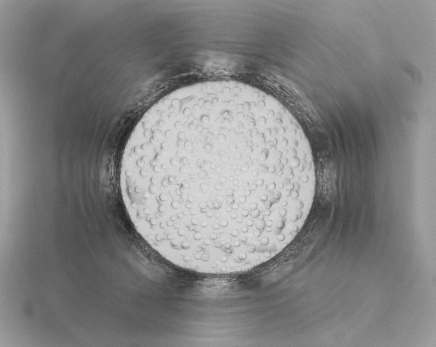 X0000115300418200912141120