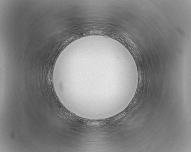 X0000115300419200912141120