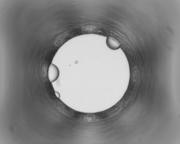 X0000115300420200912141120