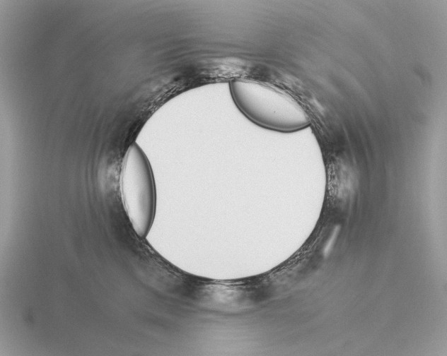 X0000115300425200912141120