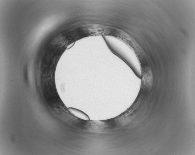 X0000115300429200912141120