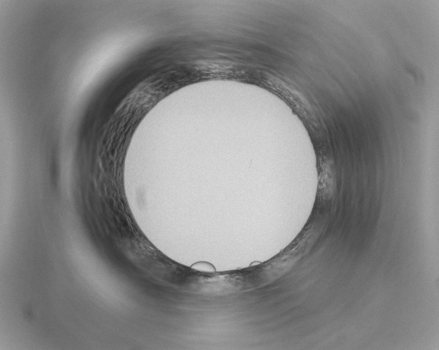 X0000115300430200912141120