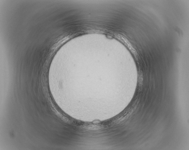 X0000115300433200912141120