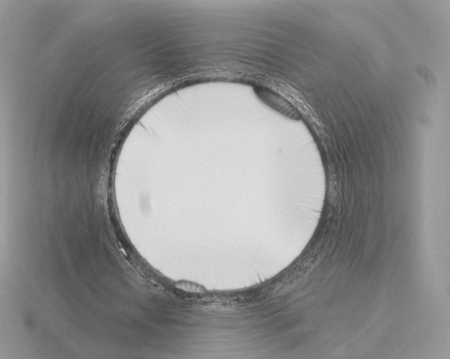 X0000115300434200912141120