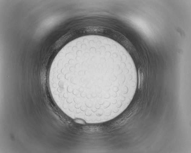 X0000115300435200912141120
