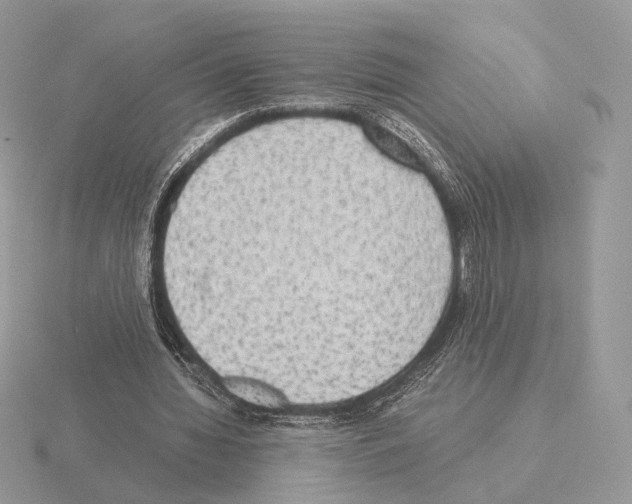 X0000115300436200912141120