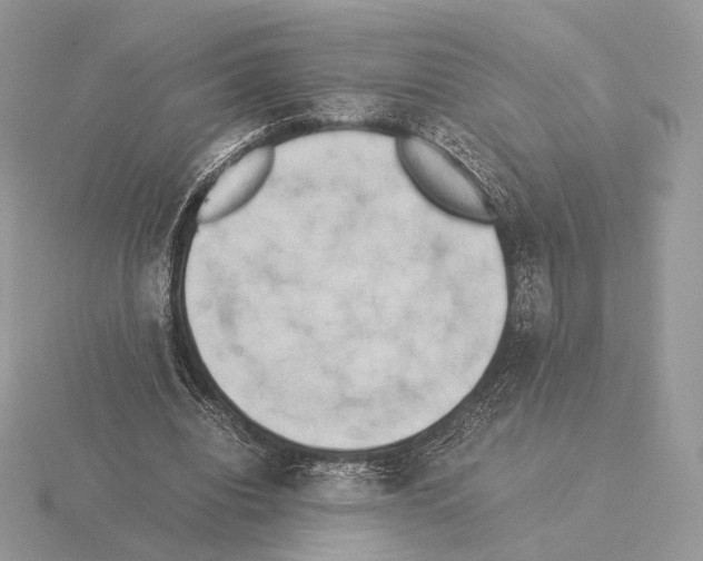 X0000115300440200912141120