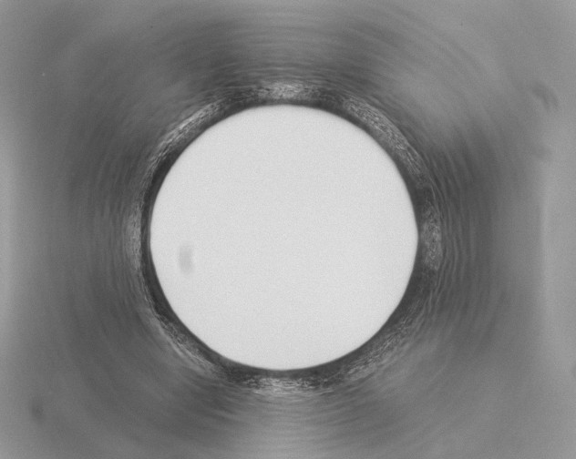 X0000115300442200912141120