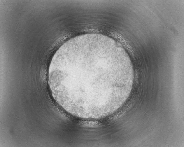 X0000115300449200912141120