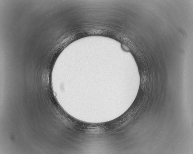 X0000115300454200912141120