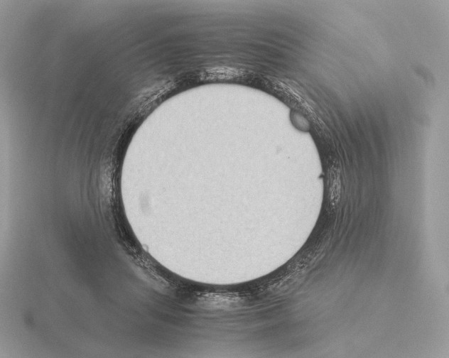 X0000115300455200912141120