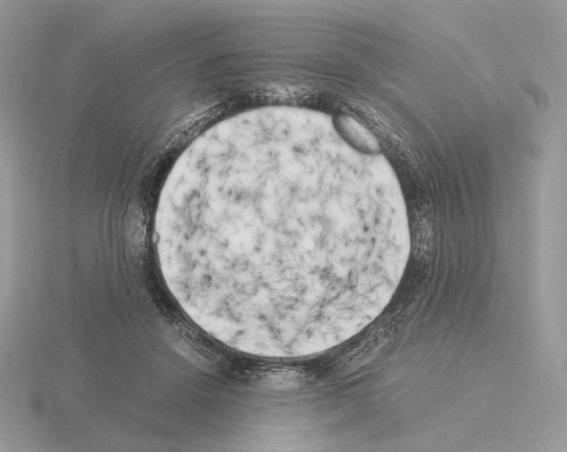 X0000115300456200912141120