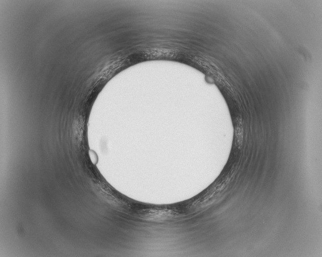 X0000115300458200912141120