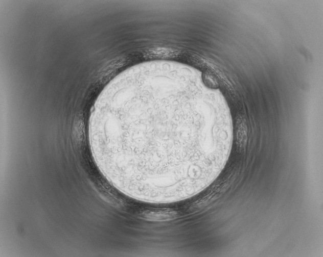 X0000115300459200912141120
