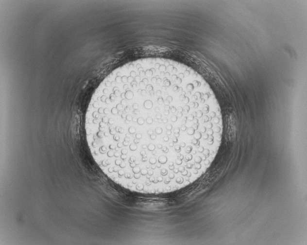 X0000115300463200912141120