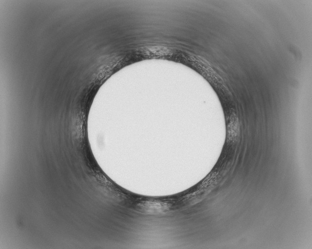 X0000115300464200912141120