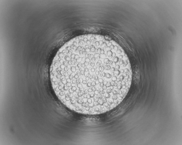 X0000115300466200912141120