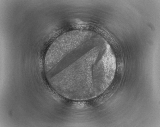 X0000115300469200912141120