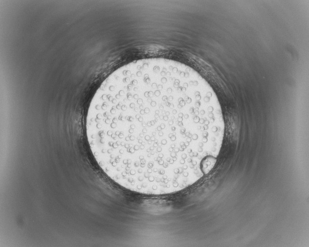 X0000115300470200912141120