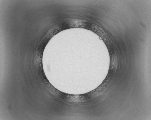 X0000115300473200912141120
