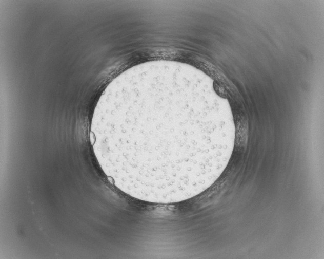 X0000115300474200912141120