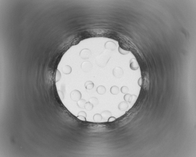 X0000115300476200912141120