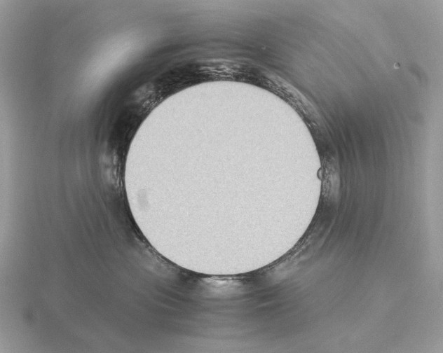 X0000115300477200912141120