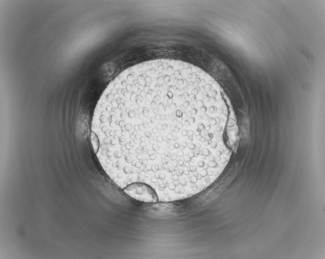 X0000115300478200912141120