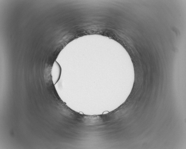 X0000115300480200912141120