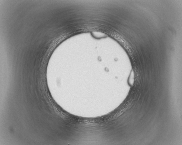 X0000115300481200912141120