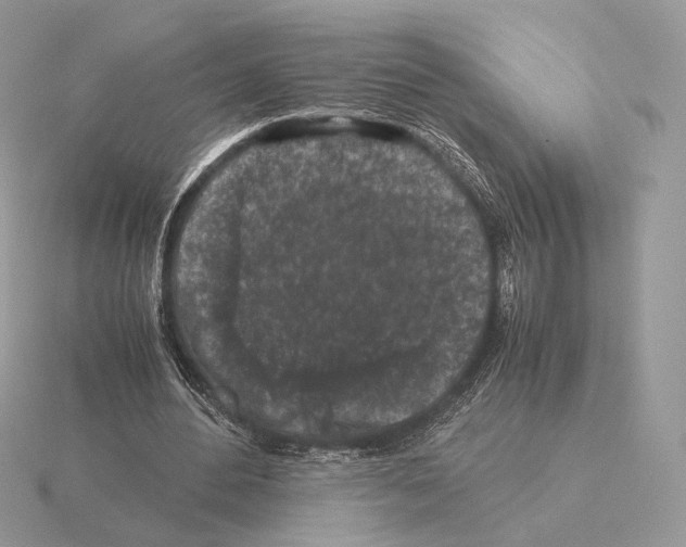 X0000115300484200912141120