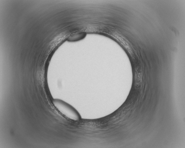 X0000115300485200912141119