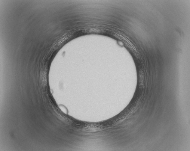 X0000115300489200912141119