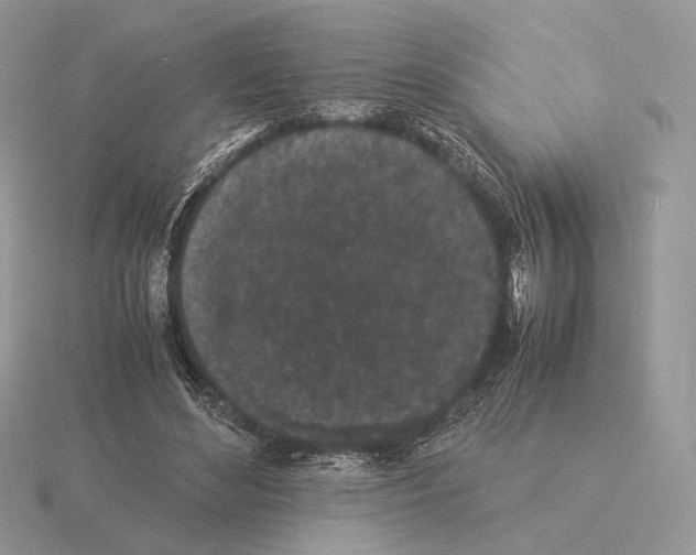 X0000115300492200912141119