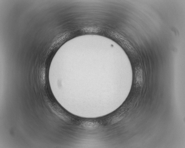 X0000115300494200912141119