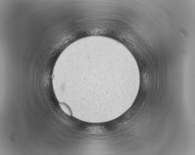 X0000115300499200912141119