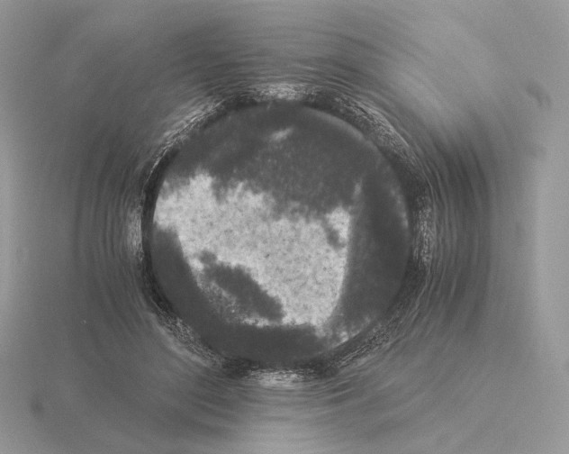 X0000115300500200912141119