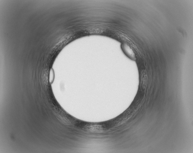 X0000115300501200912141119