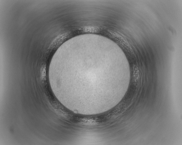 X0000115300502200912141119