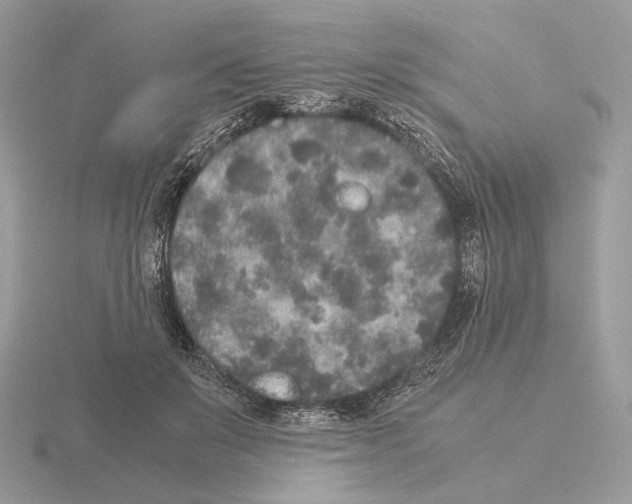 X0000115300503200912141119