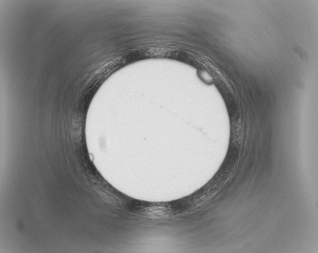 X0000115300505200912141119