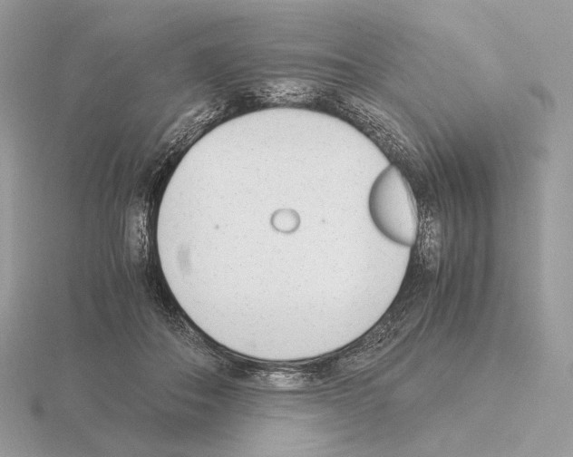 X0000115300506200912141119