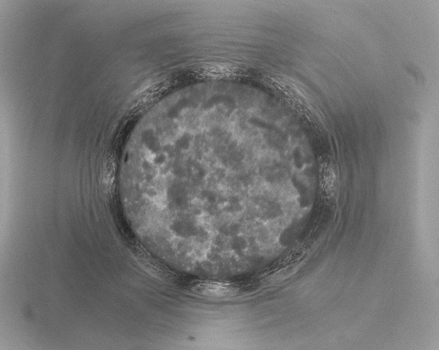 X0000115300507200912141119