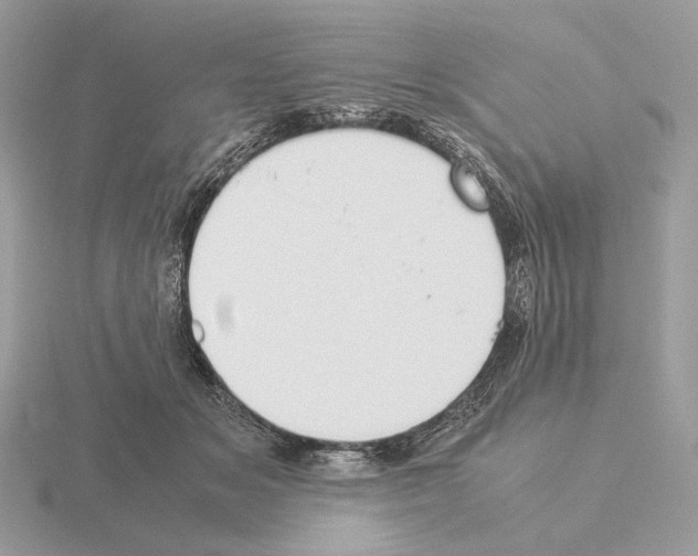 X0000115300509200912141119
